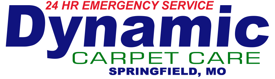 Dynamic Carpet Care of Springfield